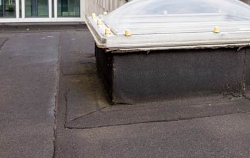 disadvantages of East Holme flat roofs