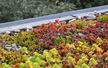 the cost of East Holme green roof installation
