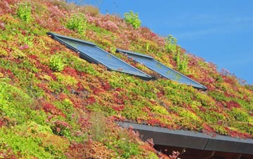 East Holme living roof systems