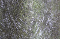 East Holme fibreglass roof work